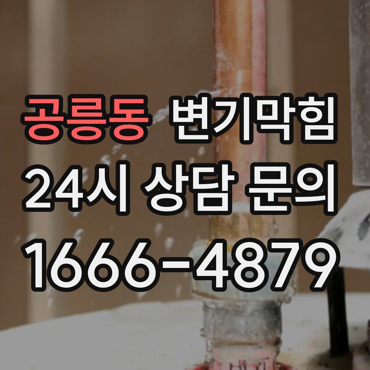 공릉동 변기막힘