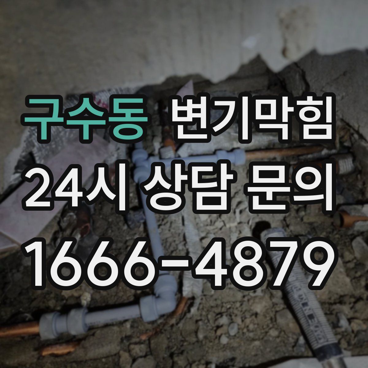 구수동 변기막힘