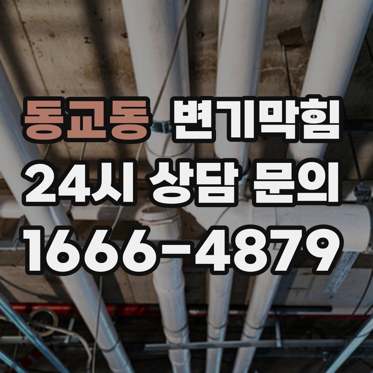 동교동 변기막힘