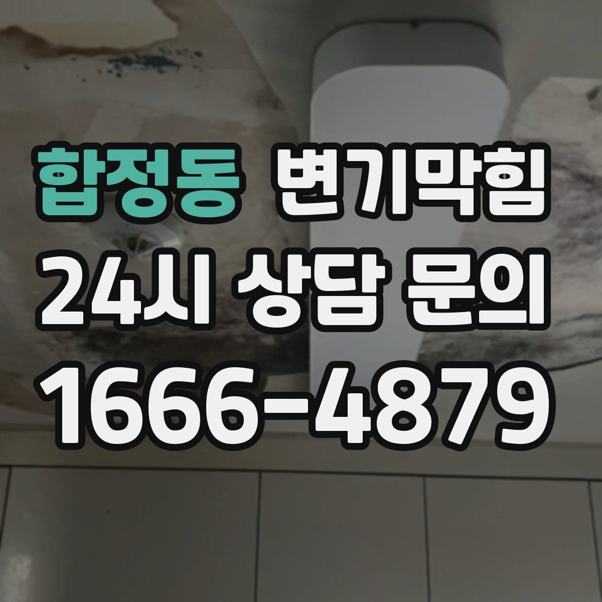 합정동 변기막힘 카페 배수구막힘 오픈 키친 향 회복