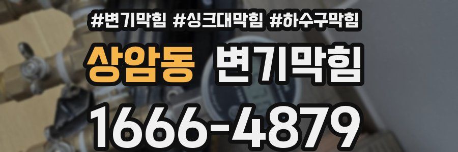 변기막힘