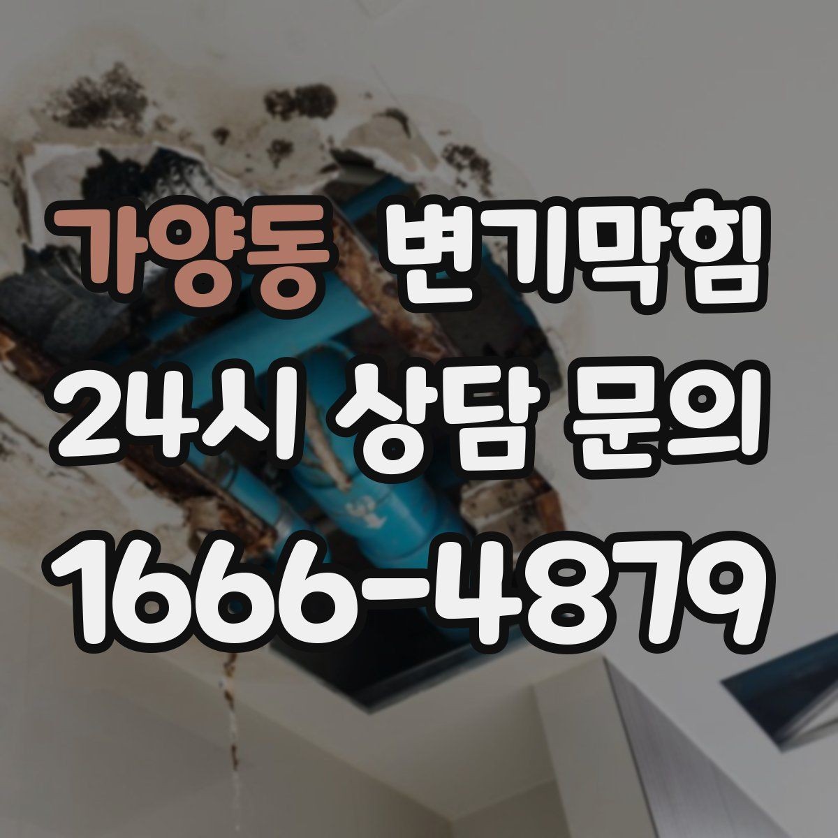 가양동 변기막힘 미용실 화장실뚫기 헤어 잔사 대응법