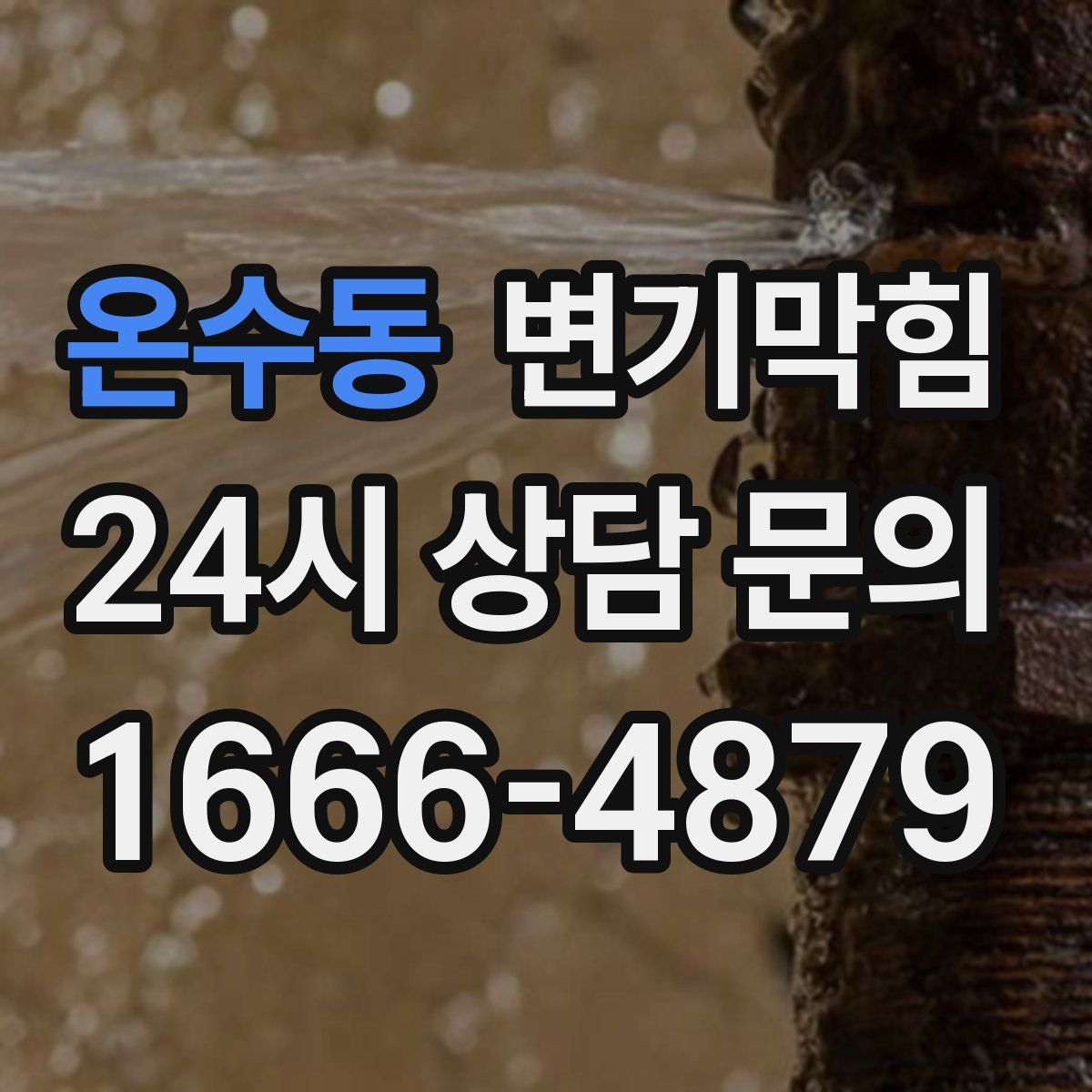 온수동 변기막힘