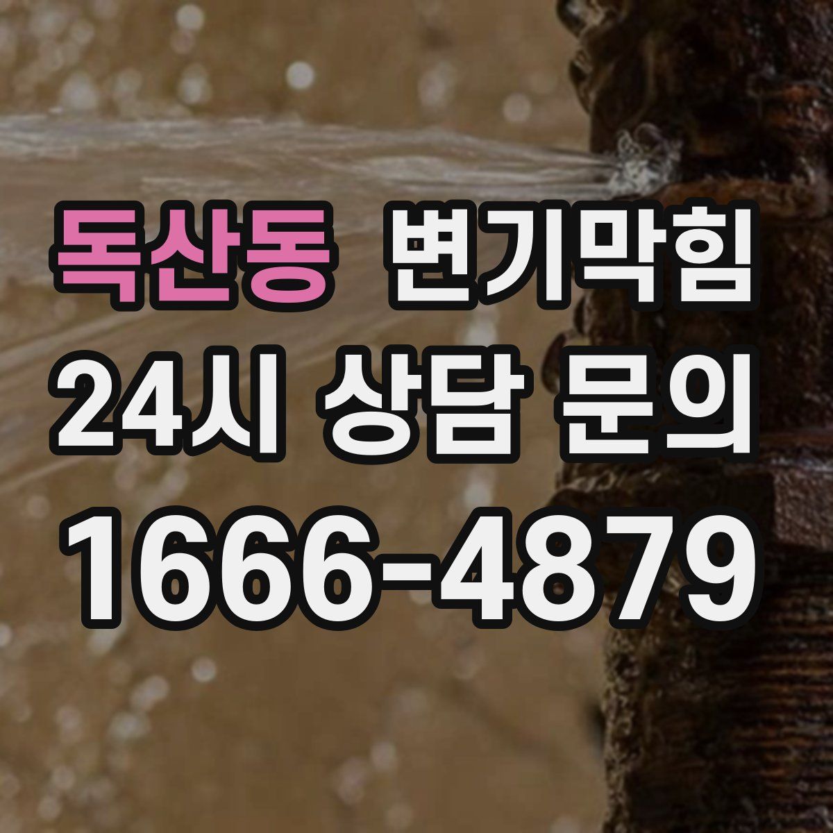 독산동 변기막힘