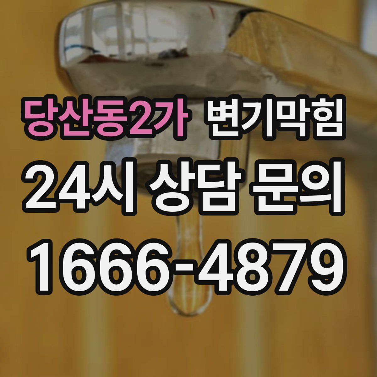 당산동2가 변기막힘