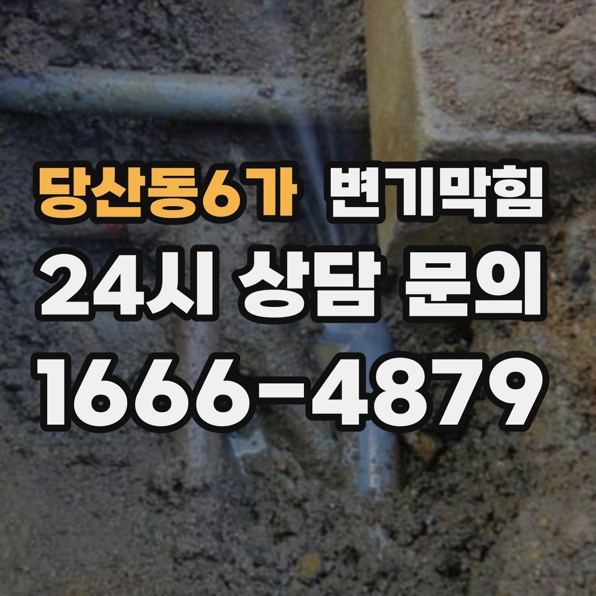 당산동6가 변기막힘 빌라 배수구막힘 세대 동시 점검
