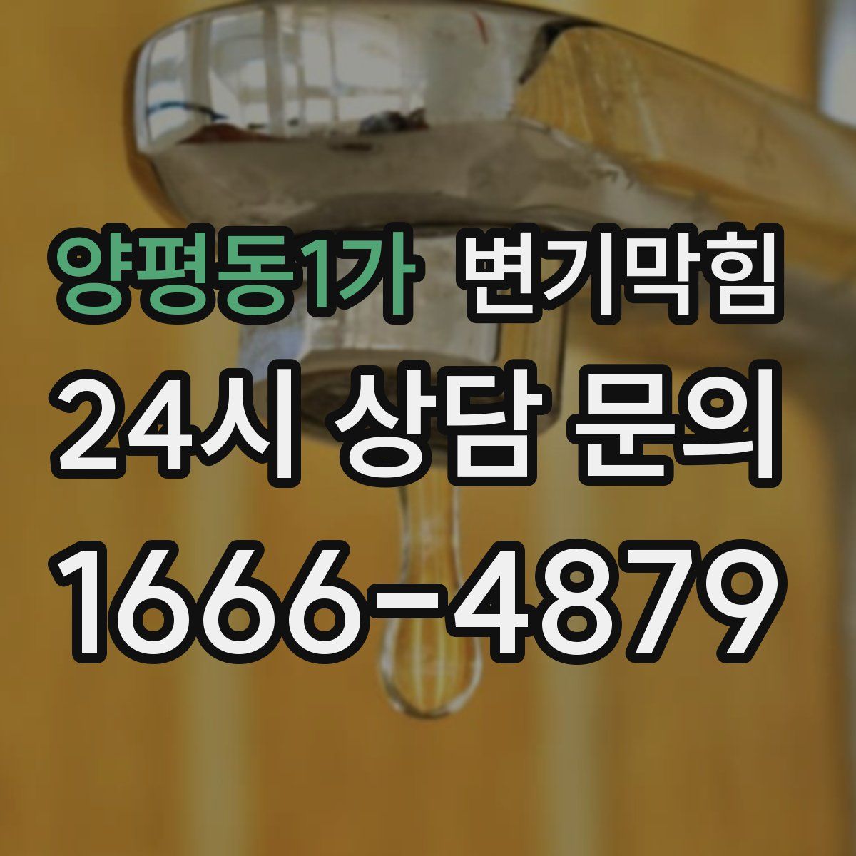 양평동1가 변기막힘