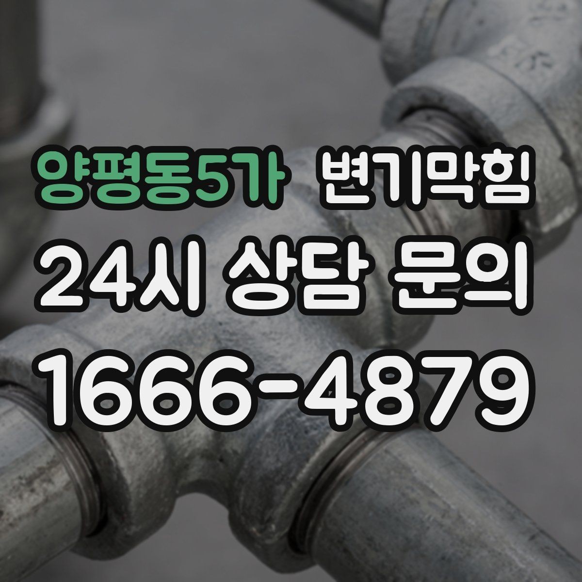 양평동5가 변기막힘 변기뚫는법 전 보호 시트 깔기