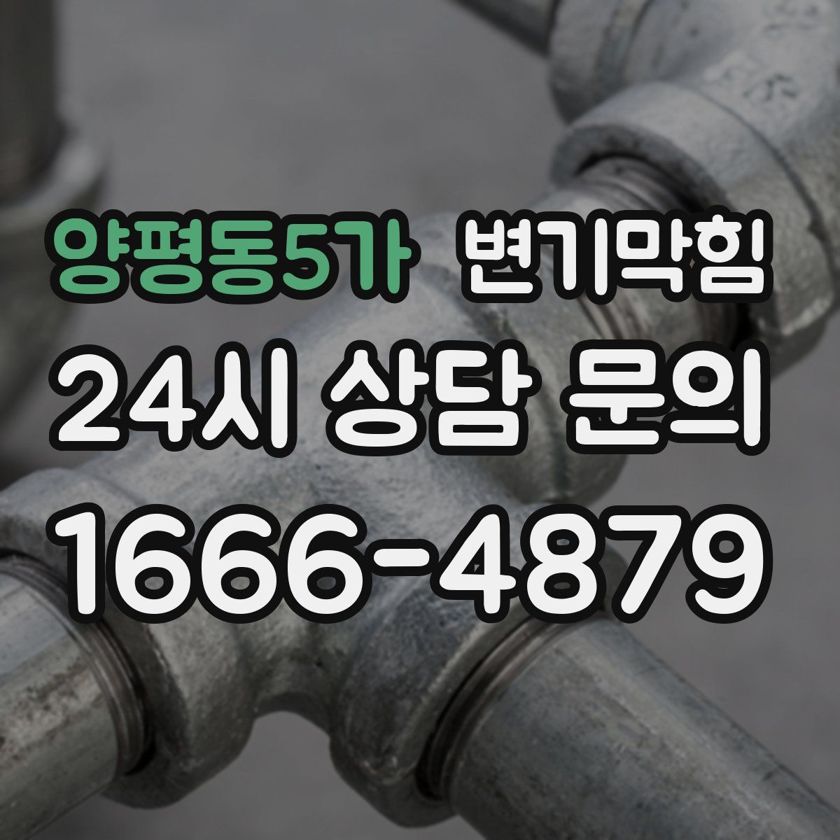 양평동5가 변기막힘