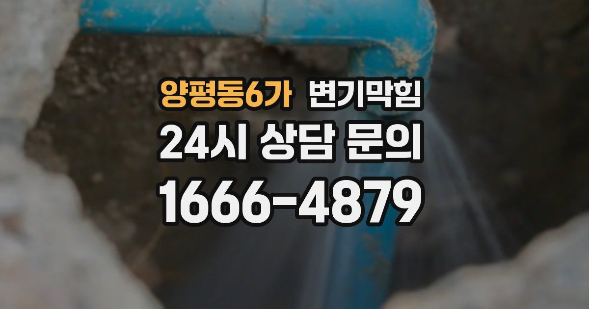 양평동6가 변기