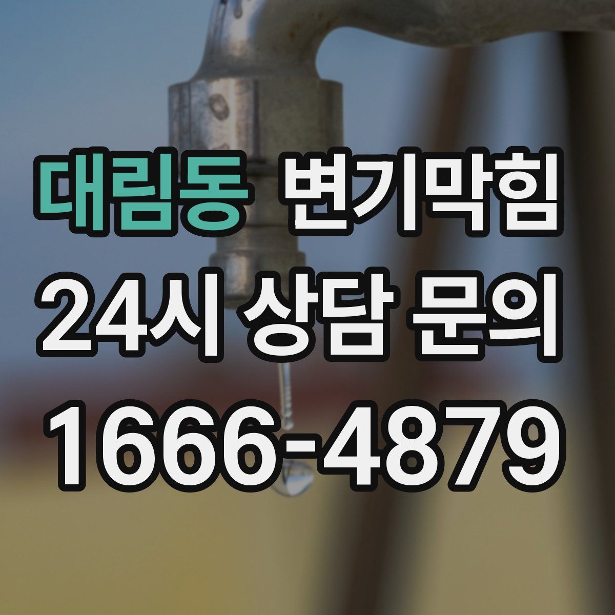 대림동 변기막힘