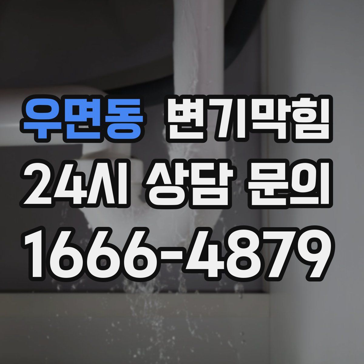 우면동 변기막힘