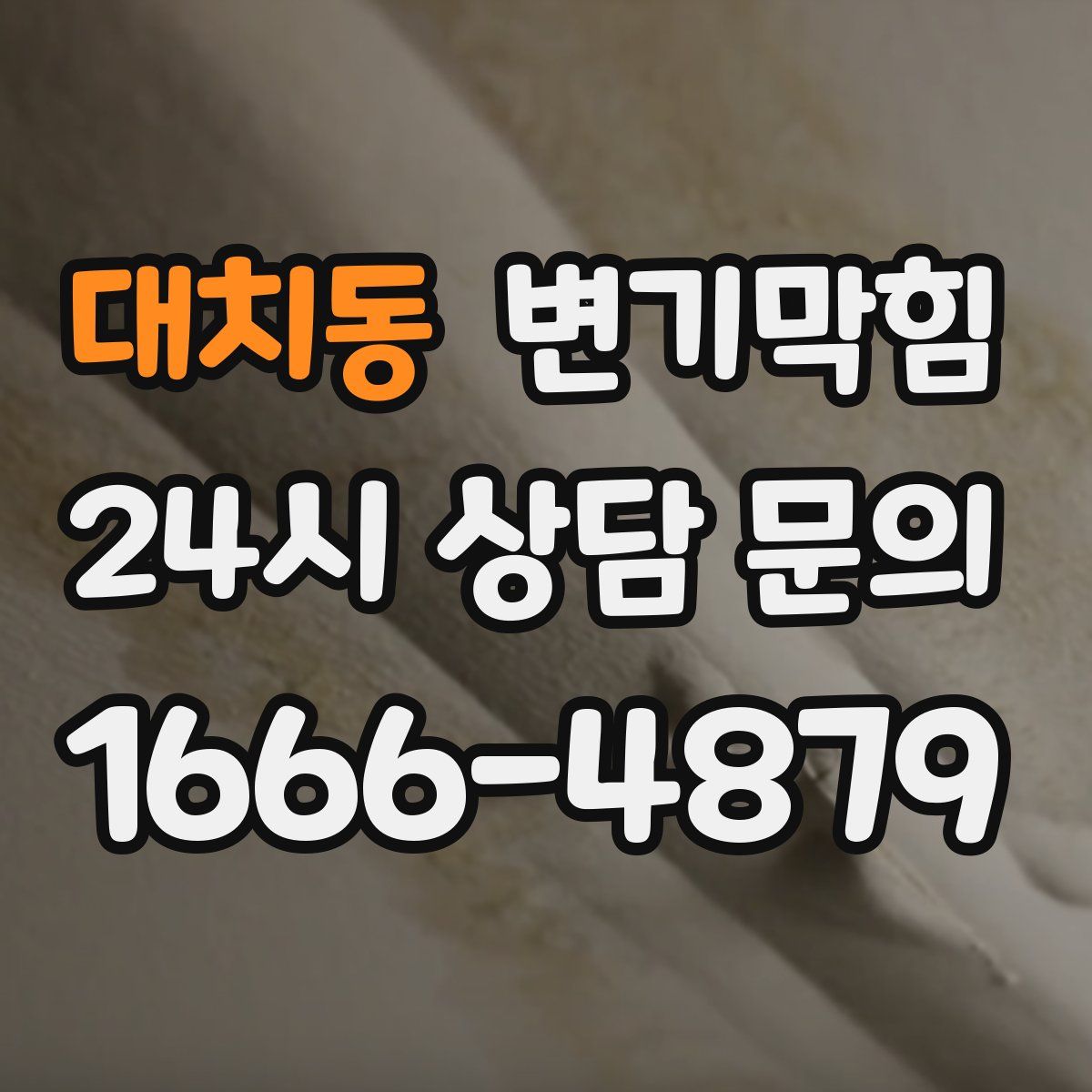 대치동 변기막힘