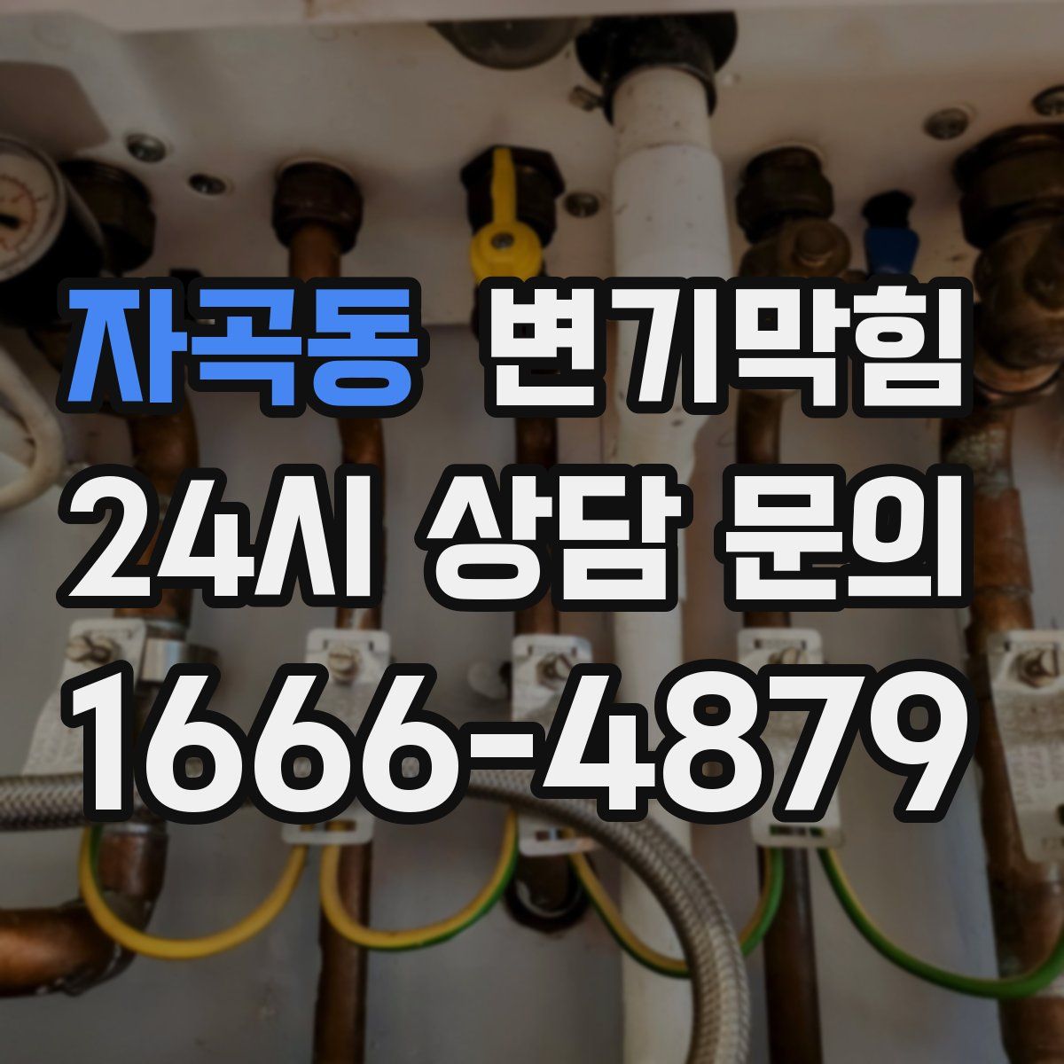 자곡동 변기막힘