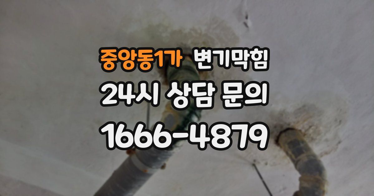 중앙동1가 변기