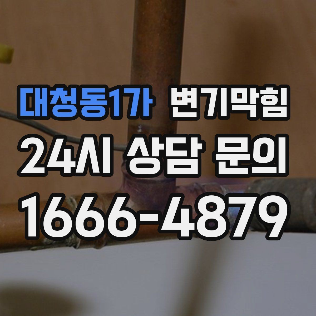 대청동1가 변기막힘 빌라 내시경으로 병목 특정