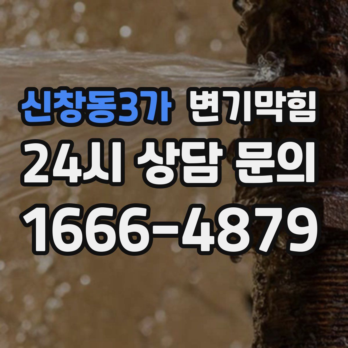 신창동3가 변기막힘