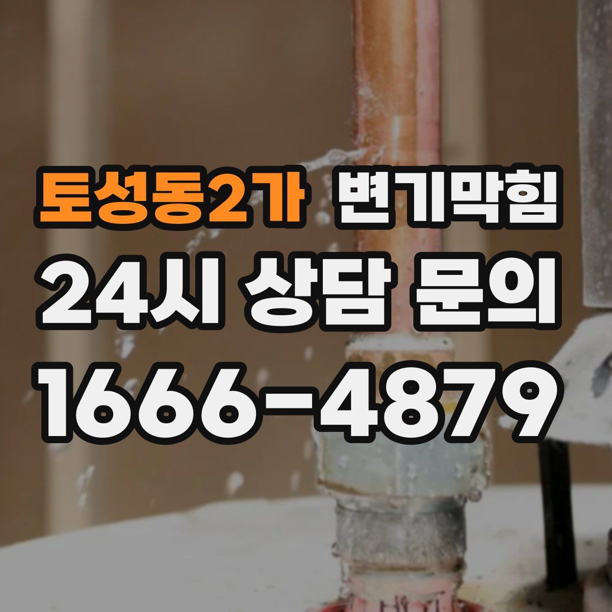 토성동2가 변기막힘