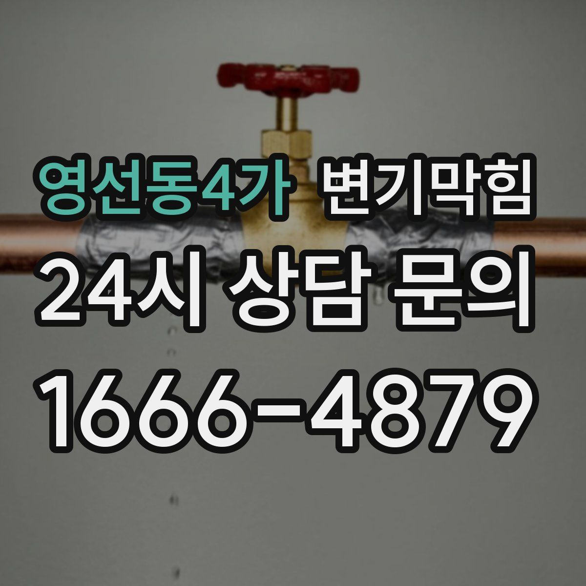 영선동4가 변기막힘