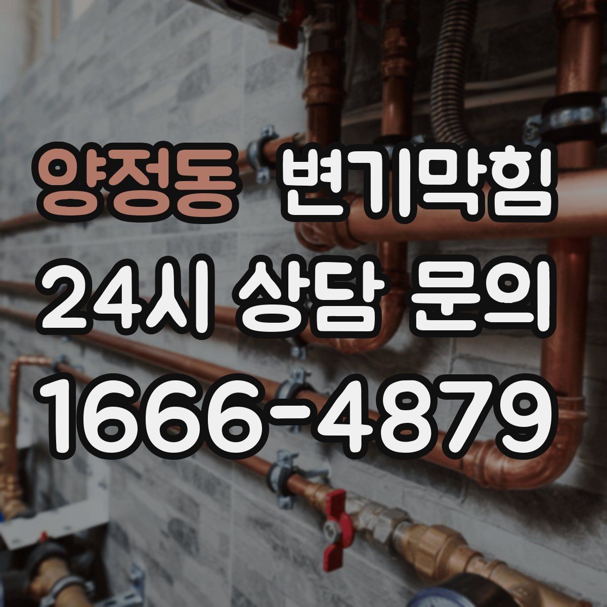 양정동 변기막힘 아파트 화장실역류 저층 민원 해소
