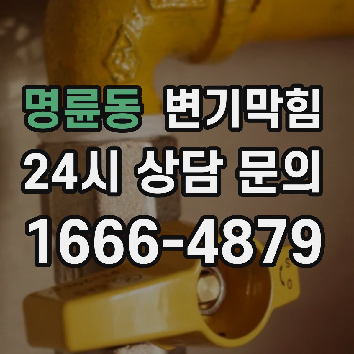 명륜동 변기막힘