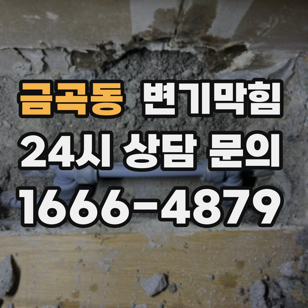 금곡동 변기막힘