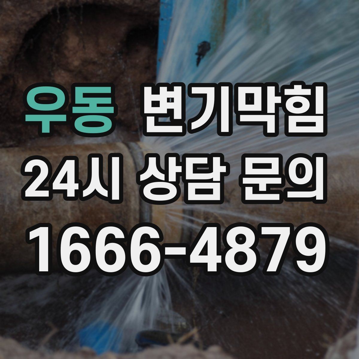 우동 변기막힘 변기 물이 안 찰 때 비데 영향 체크