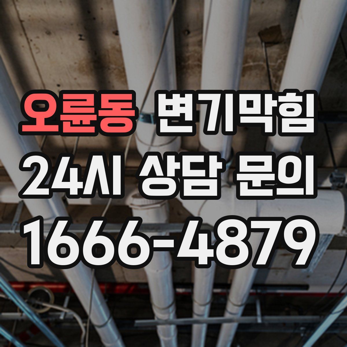 오륜동 변기막힘