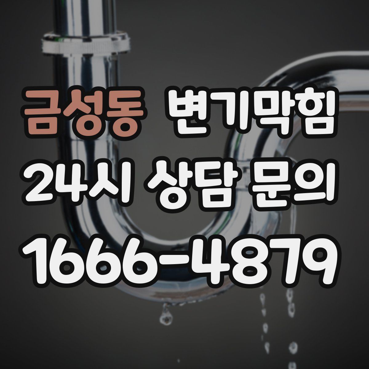 금성동 변기막힘