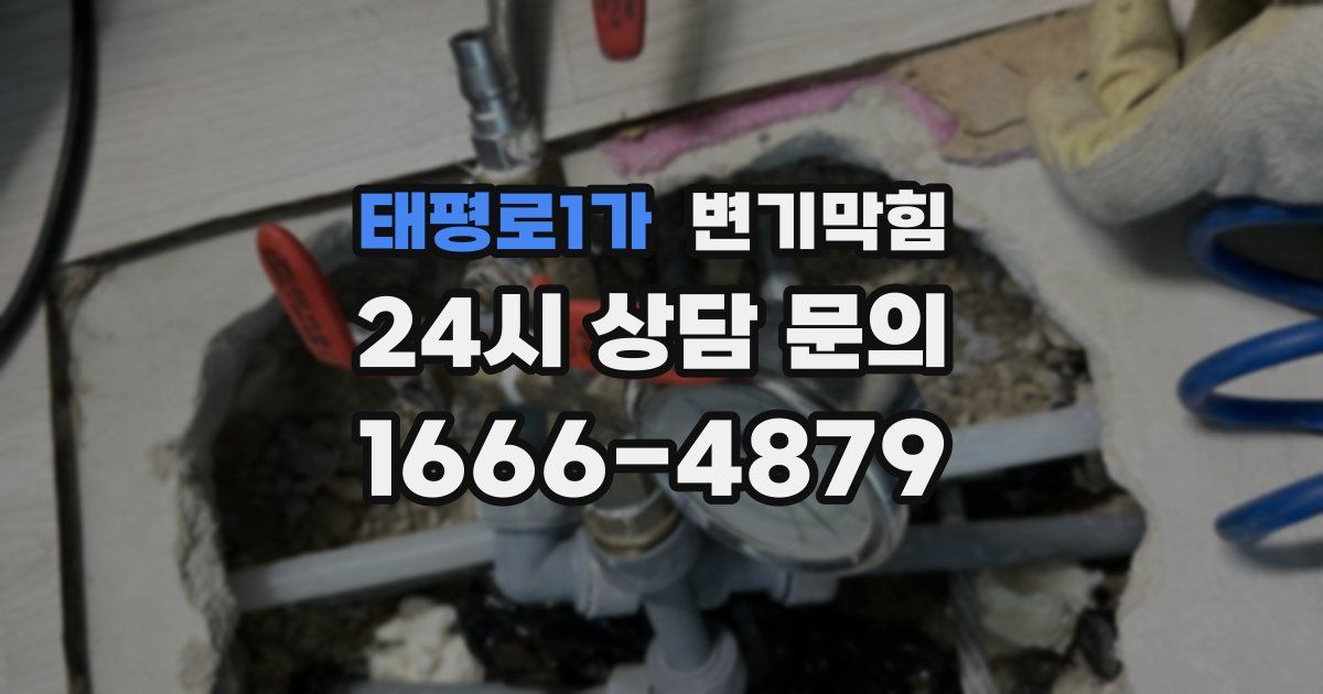 태평로1가 변기