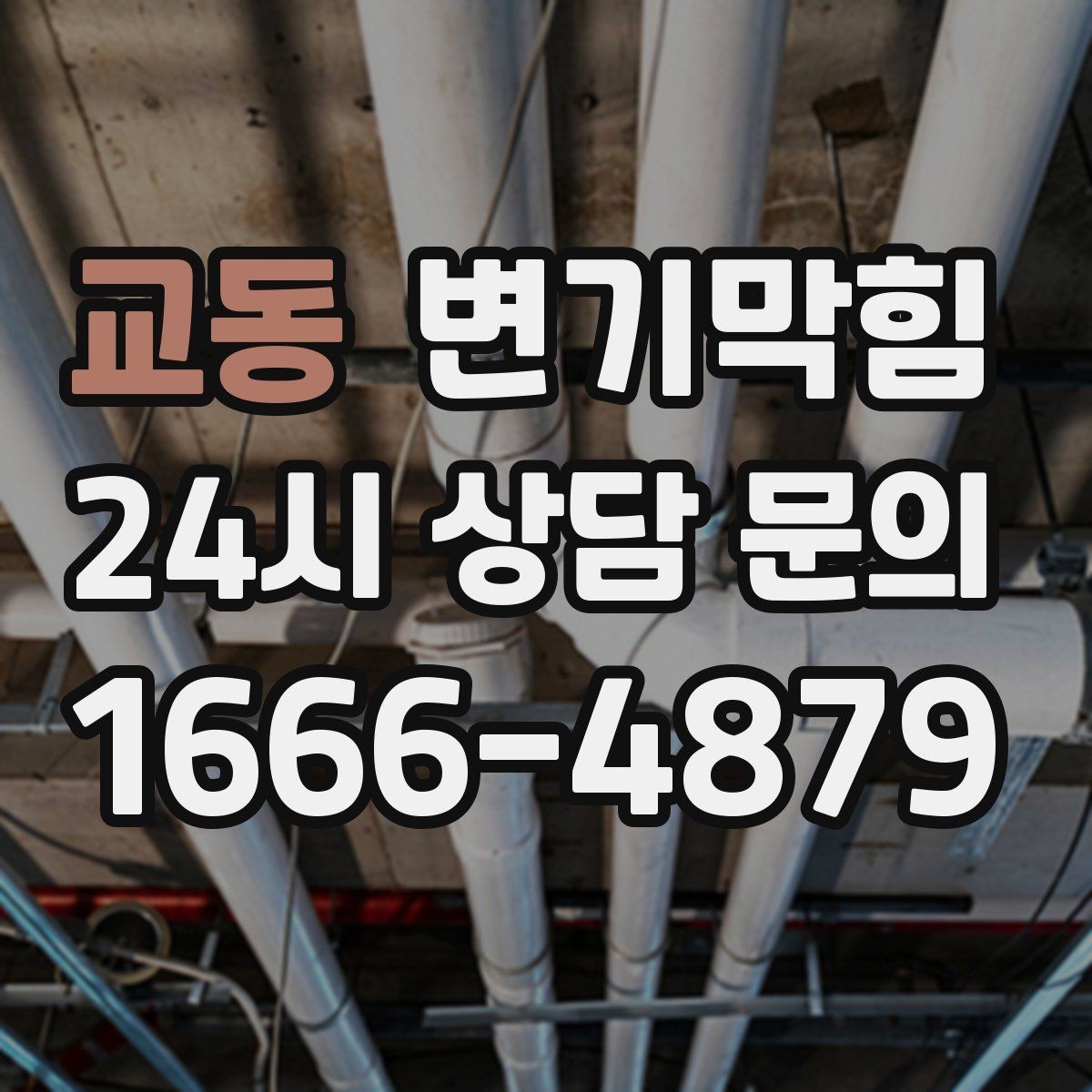 교동 변기막힘 변기막혔을때 변좌 흔들림 점검