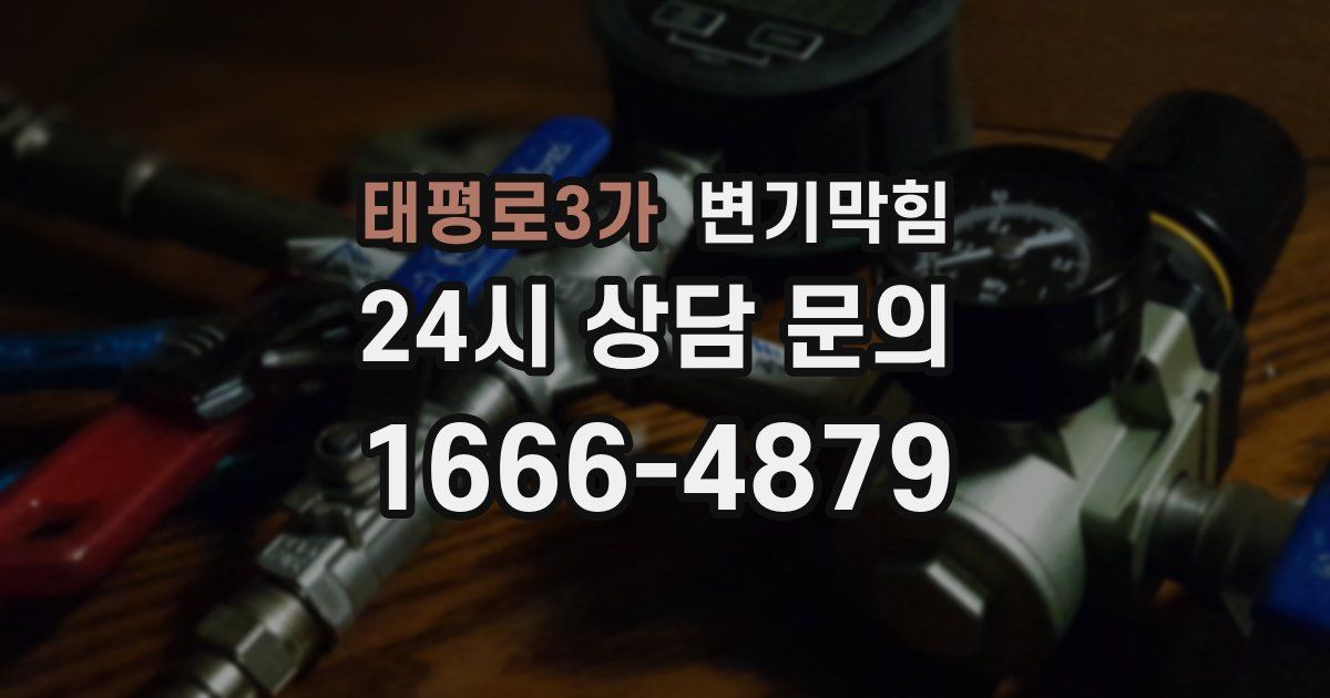 태평로3가 변기