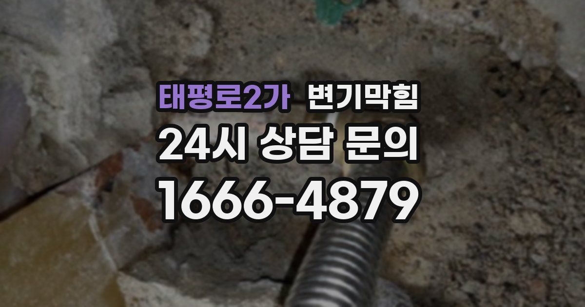 태평로2가 변기