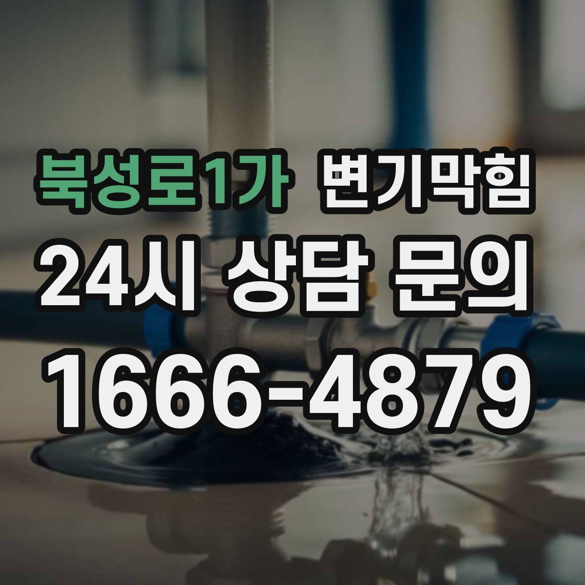 북성로1가 변기막힘