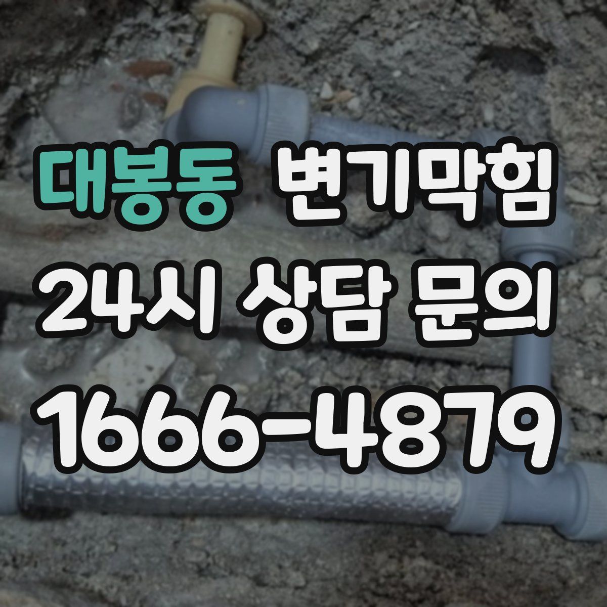 대봉동 변기막힘