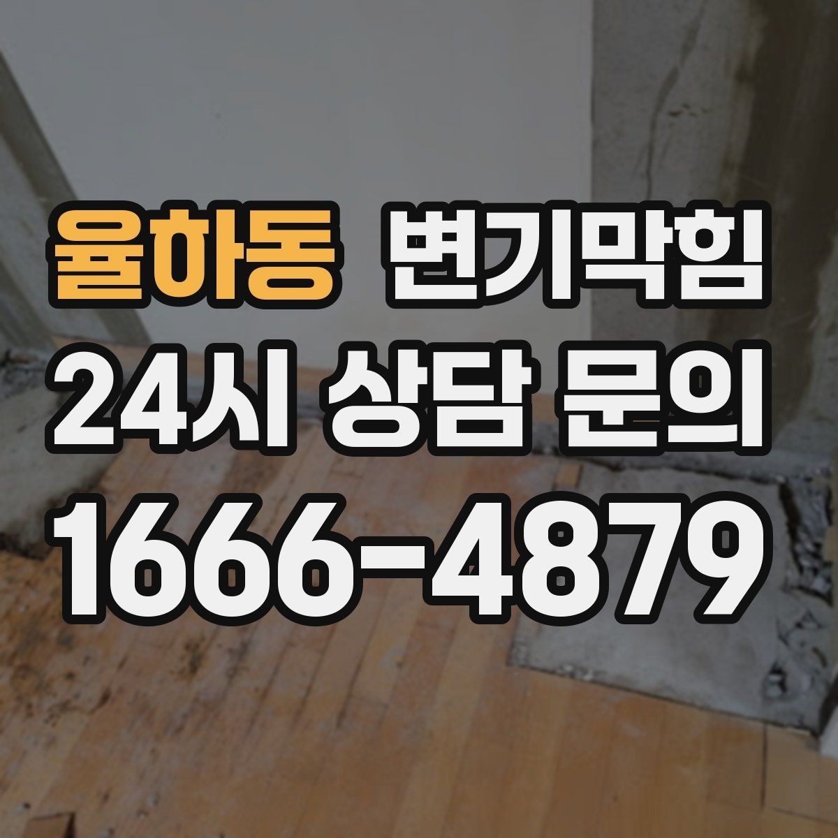 율하동 변기막힘 변기가막혔을때 냄새만 심한 날