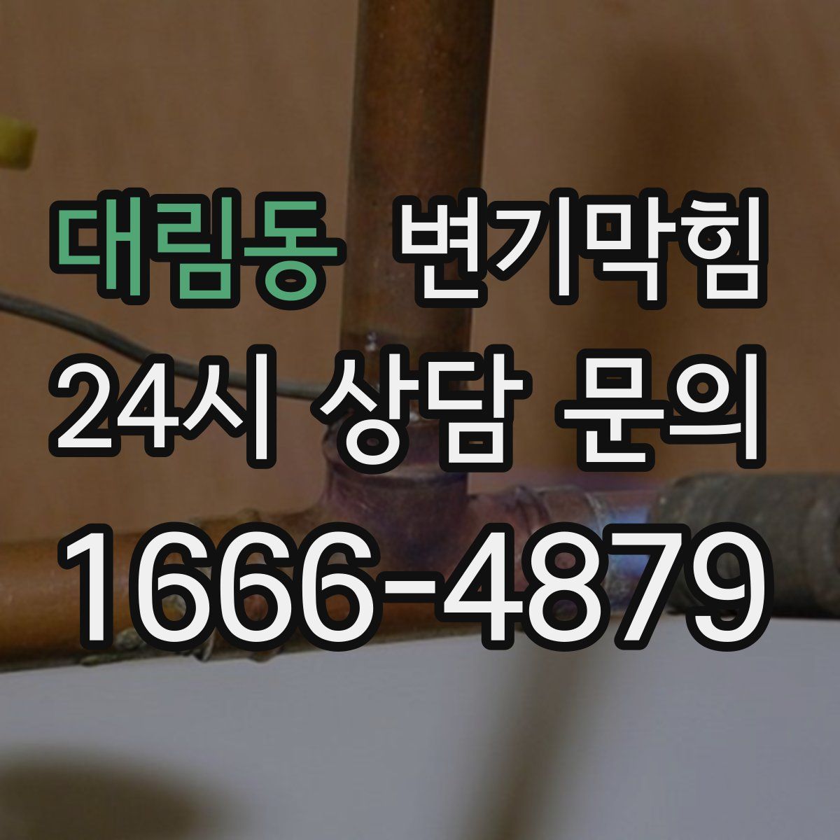 대림동 변기막힘