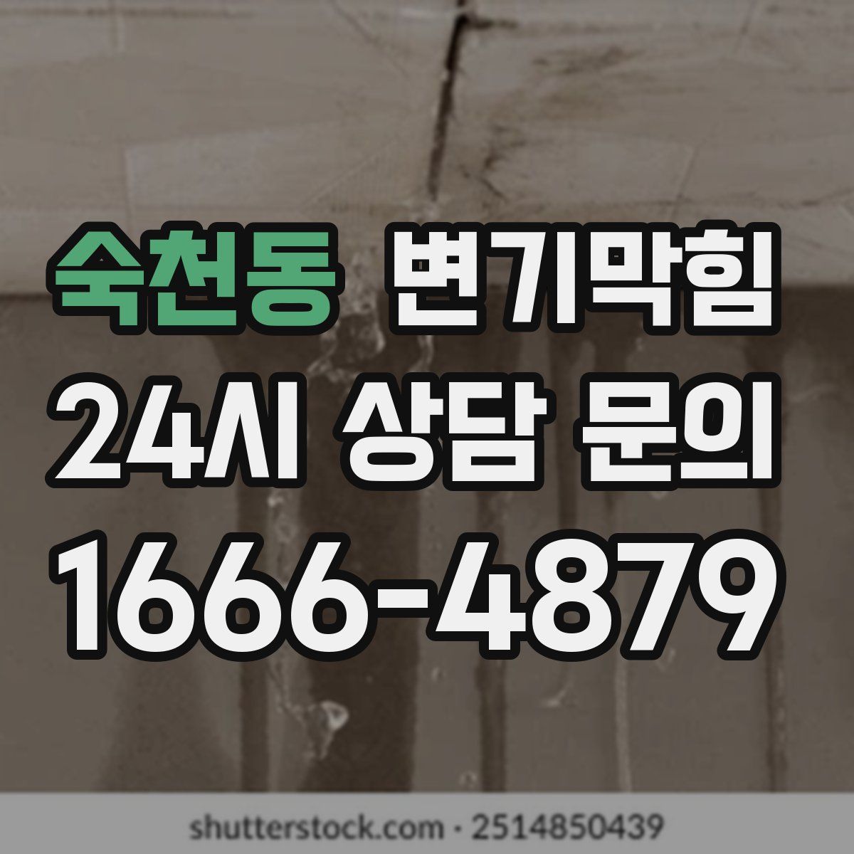 숙천동 변기막힘