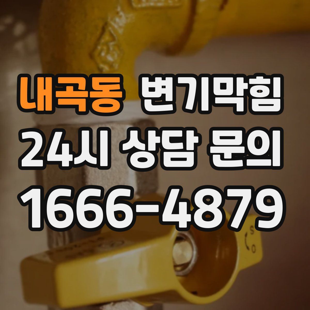 내곡동 변기막힘