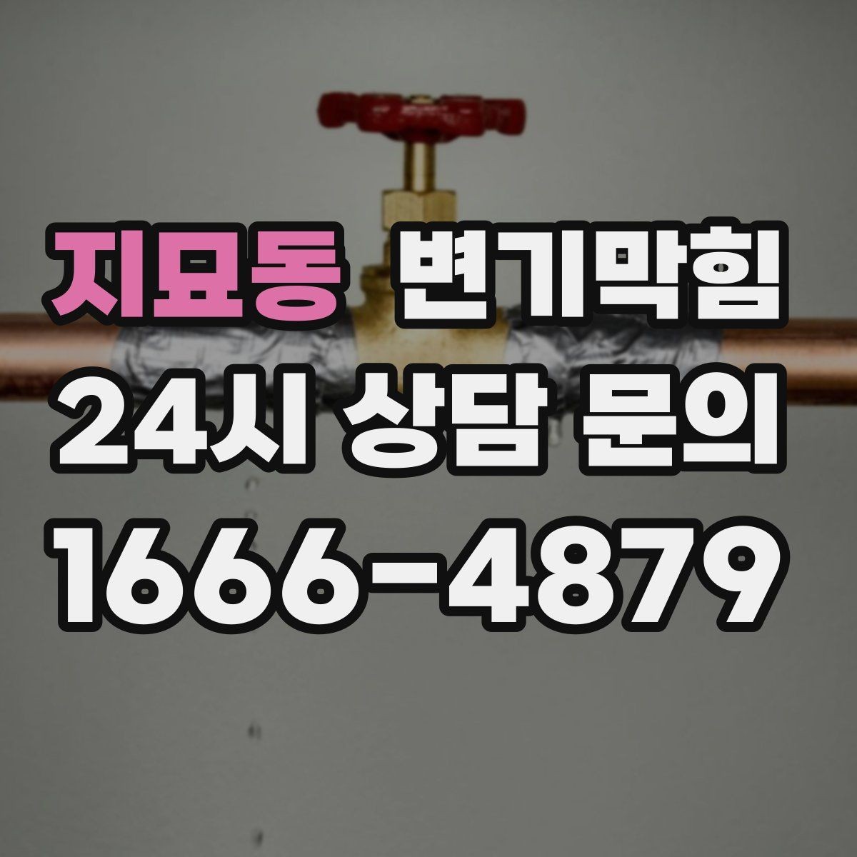 지묘동 변기막힘 다가구 화장실막힘 합류부 집중 복구