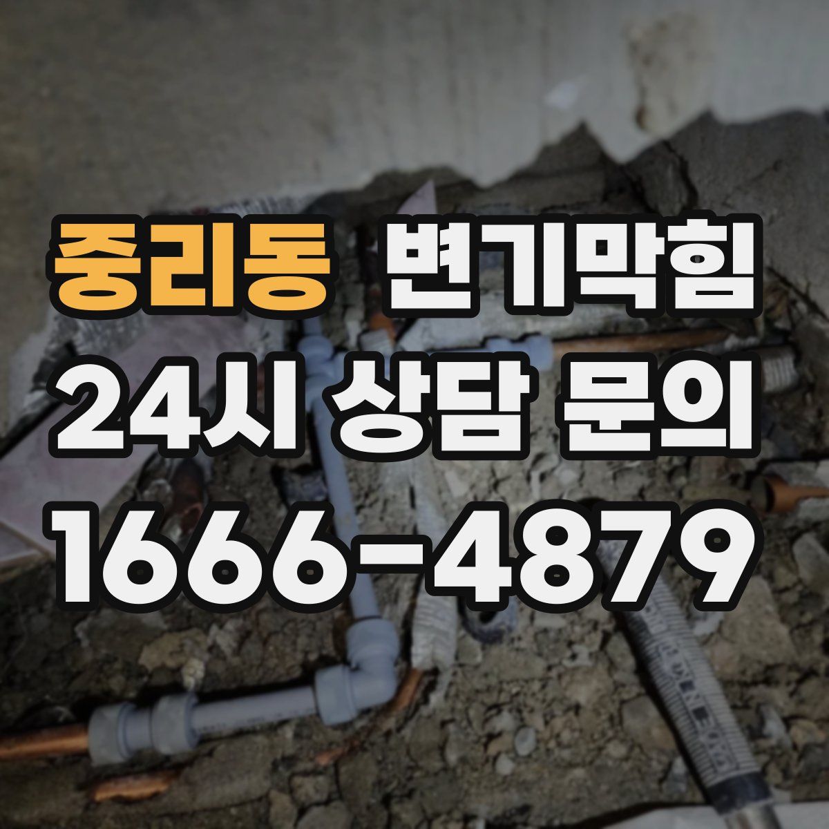 중리동 변기막힘