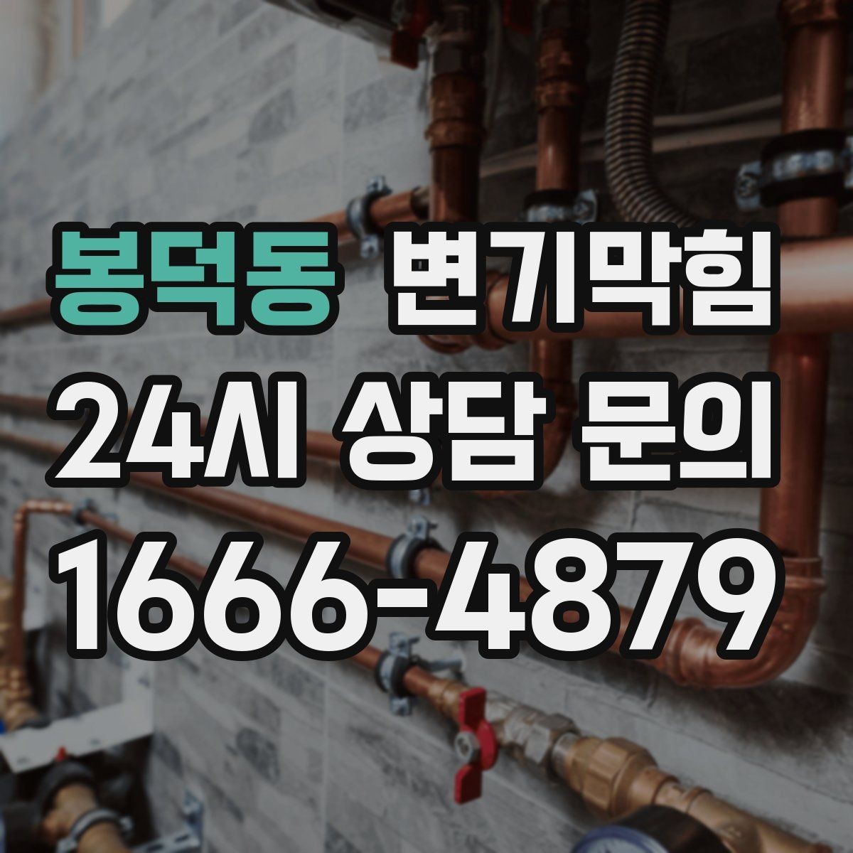 봉덕동 변기막힘 원룸 화장실역류 내시경 병목 확인