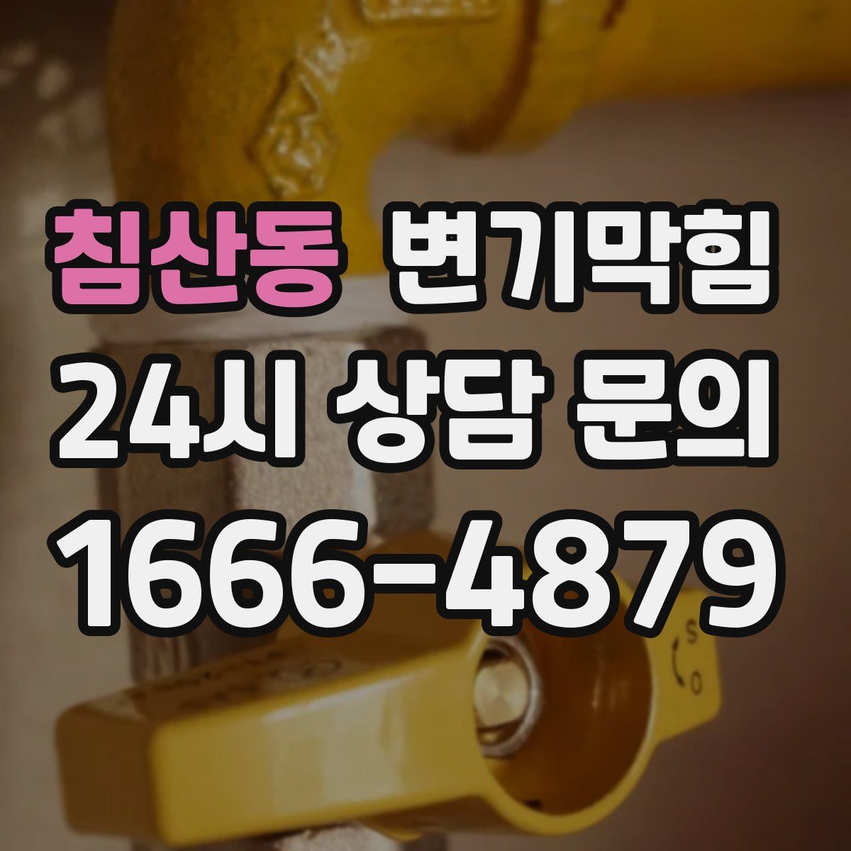 침산동 변기막힘