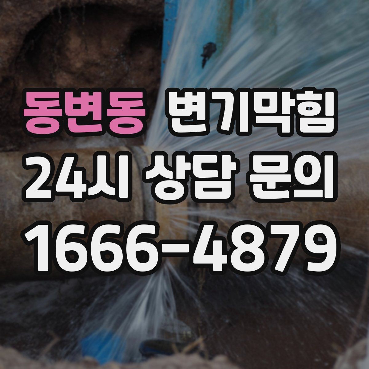 동변동 변기막힘 단독 사진 리포트·영수증 동시 제공