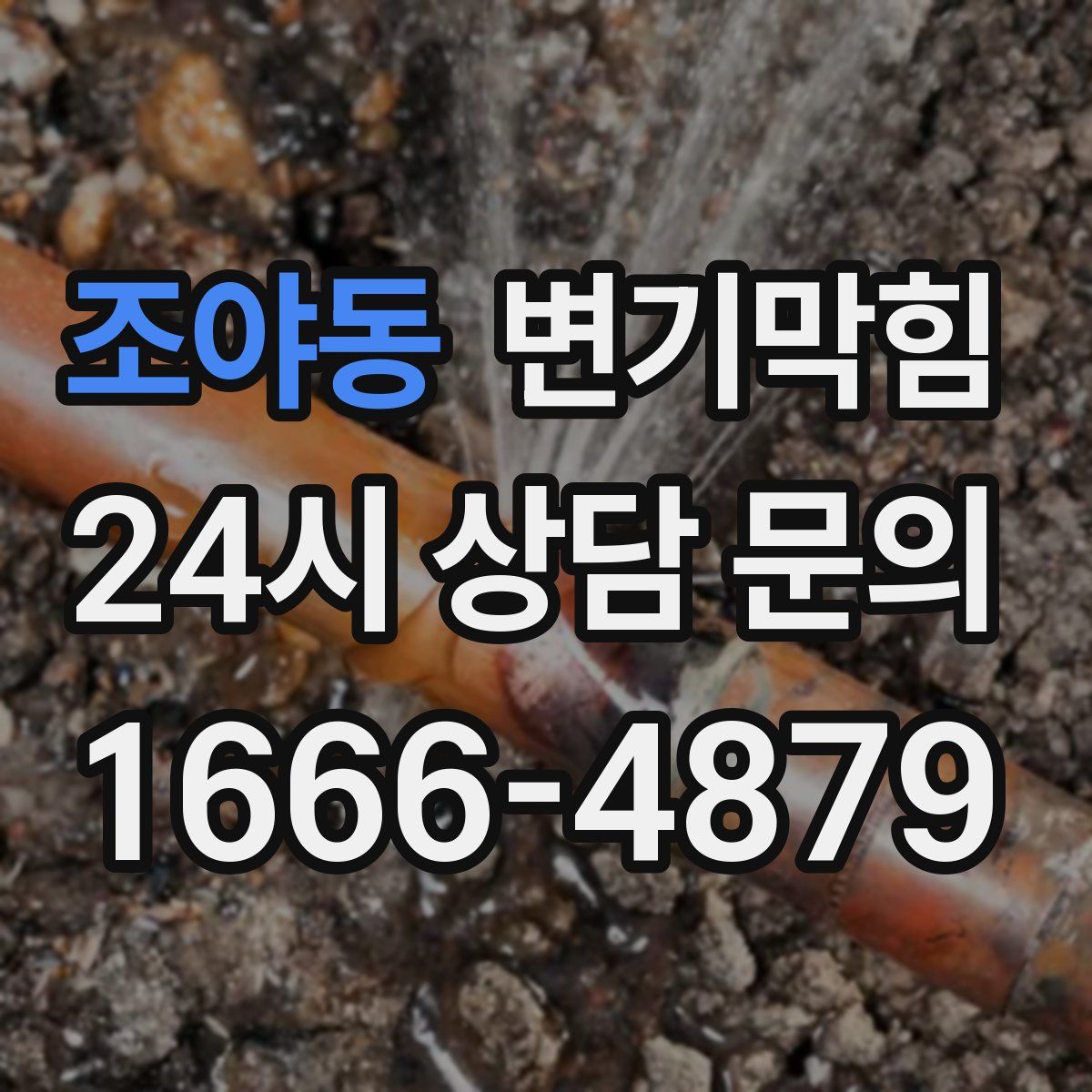 조야동 변기막힘