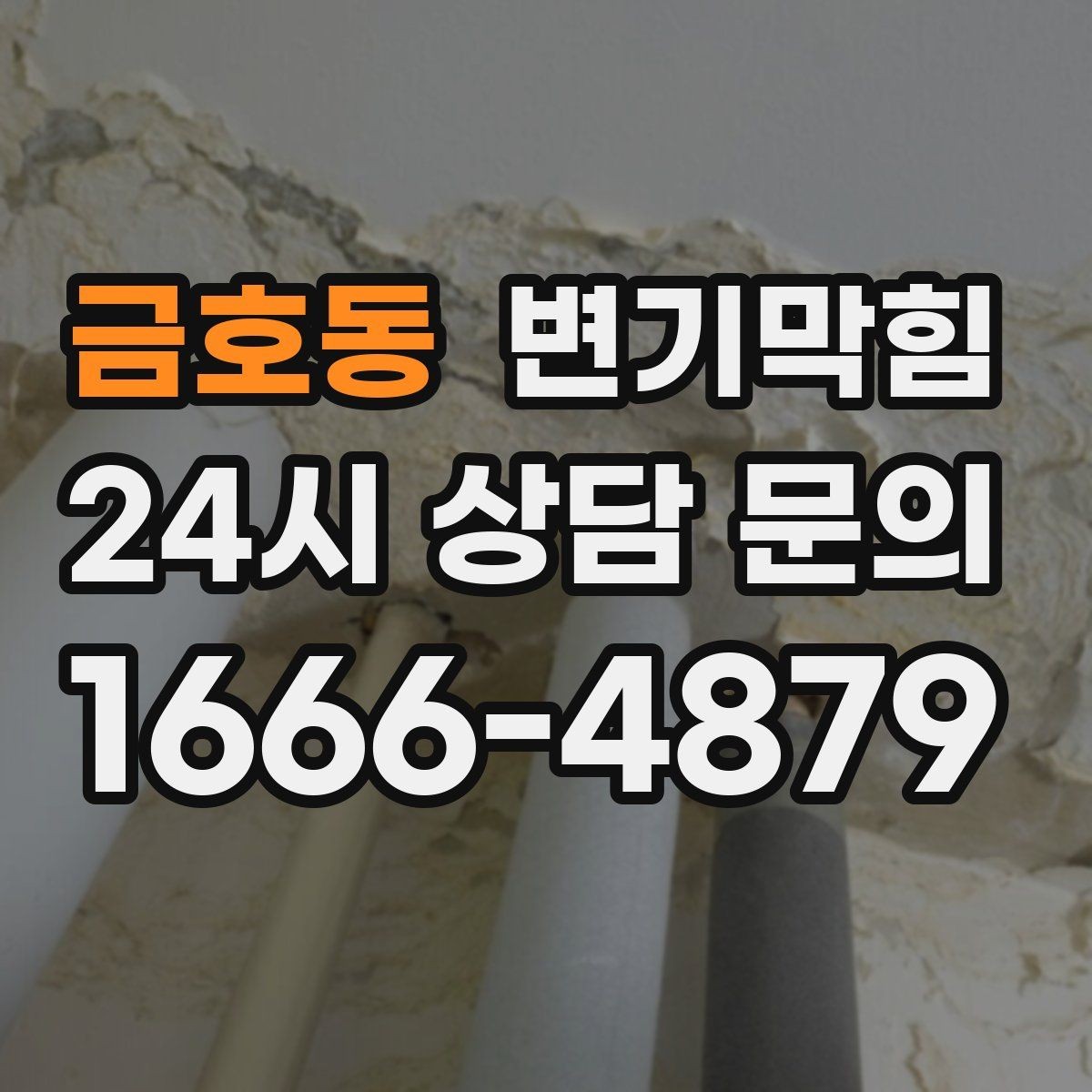 금호동 변기막힘 단독 주택 배수구막힘 장판 얼룩 종결