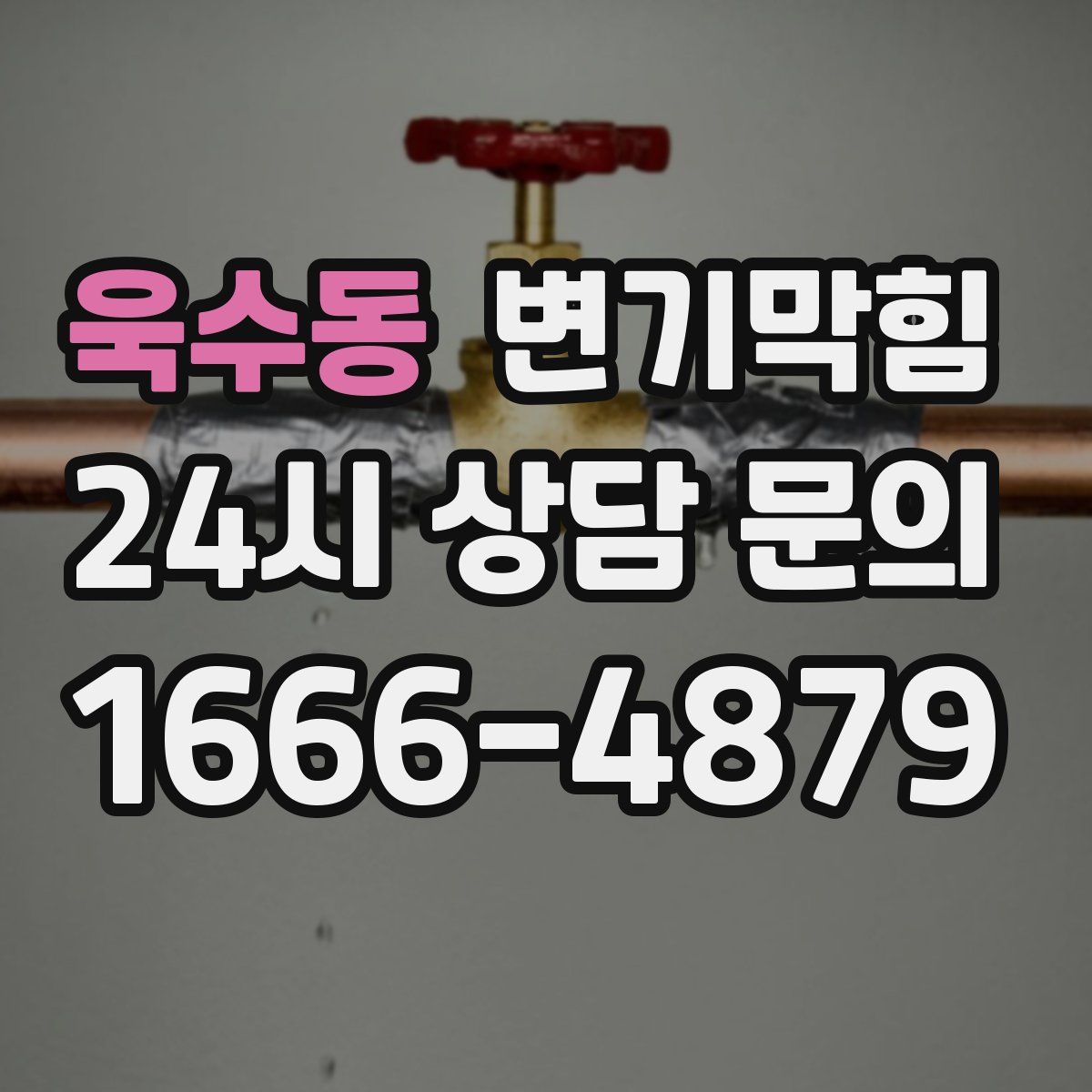 욱수동 변기막힘