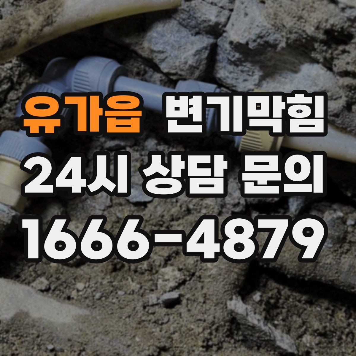 유가읍 변기막힘 카페 변기뚫기 도어 오픈 전 점검
