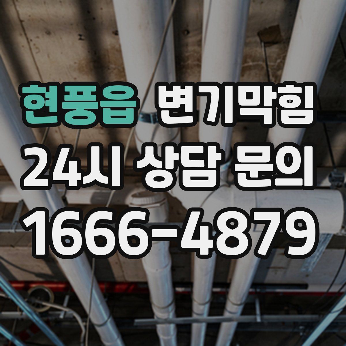 현풍읍 변기막힘