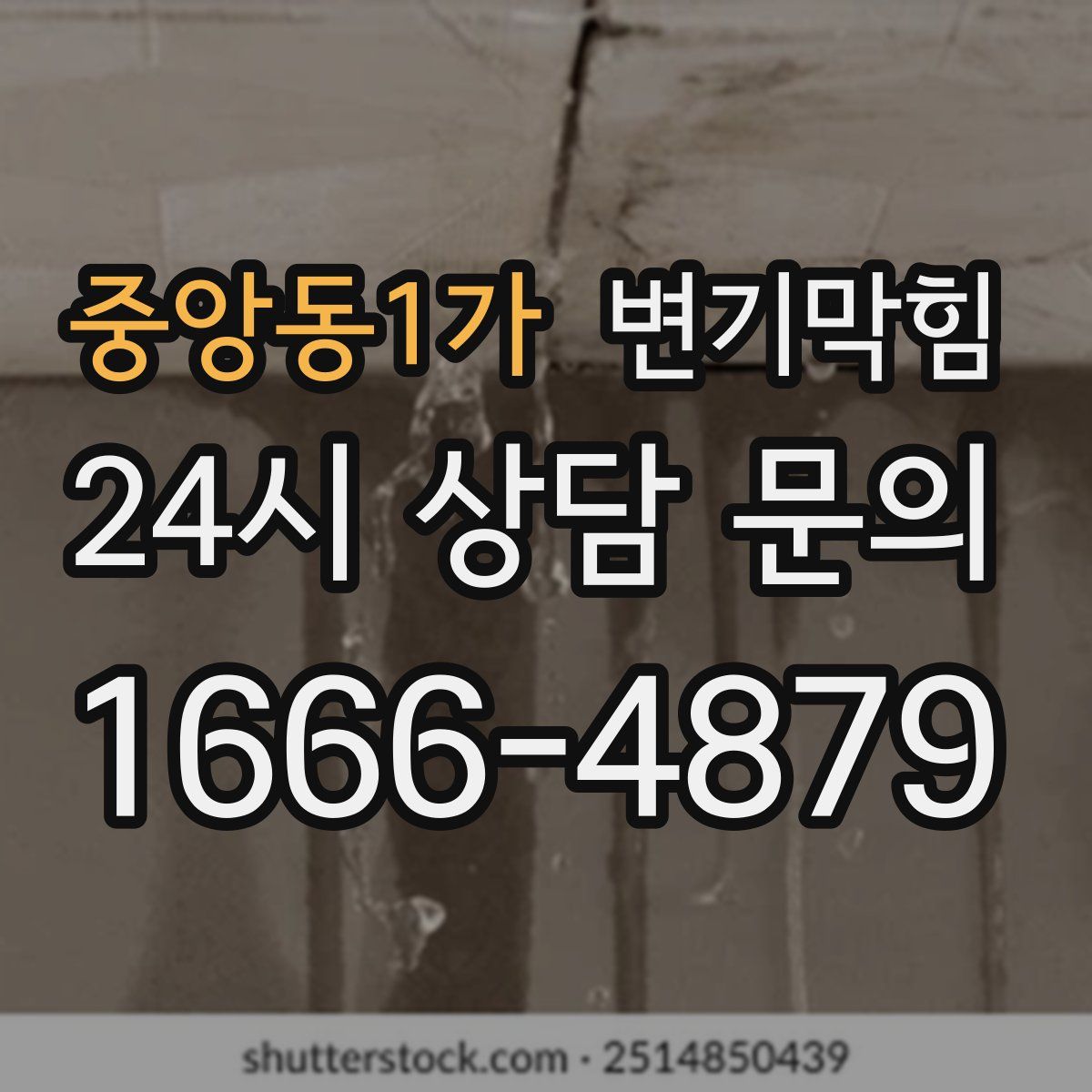 중앙동1가 변기막힘